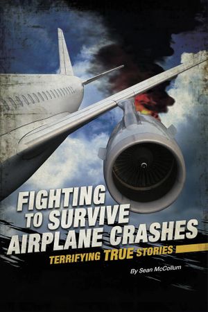 Fighting to Survive Airplane Crashes: Terrifying True Stories image number 0
