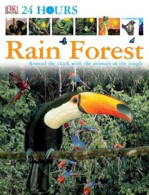 Rain Forest image number 0
