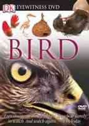 Eyewitness DVD: Bird image number 0