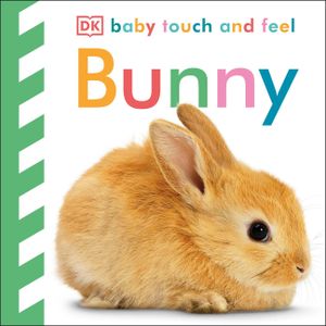 Baby Touch and Feel: Bunny image number 0
