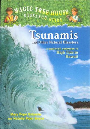 Tsunamis and Other Natural Disasters image number 0