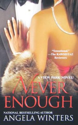 Never Enough: A View Park Novel image number 0