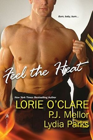 Feel the Heat image number 0