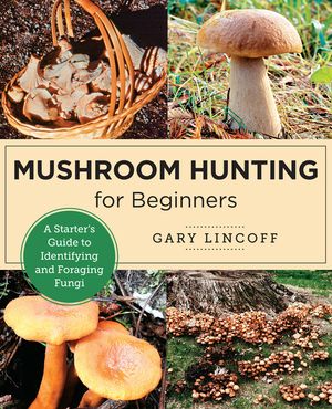 Mushroom Hunting for Beginners: A Starter's Guide to Identifying and Foraging Fungi image number 0