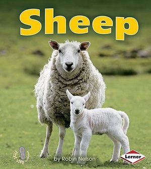 Sheep image number 0