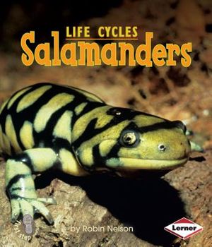 Salamanders image number 0
