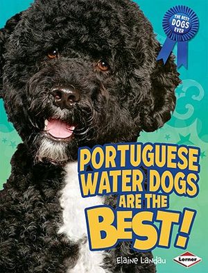 Portuguese Water Dogs Are the Best! image number 0