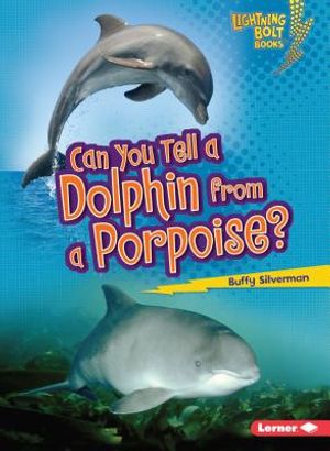 Can You Tell a Dolphin from a Porpoise? image number 0