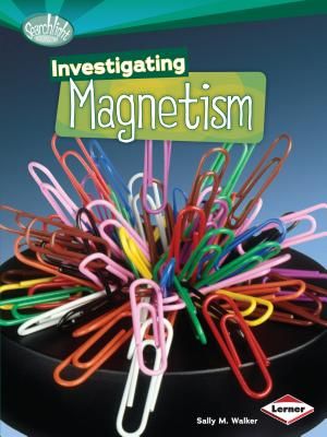 Investigating Magnetism image number 0
