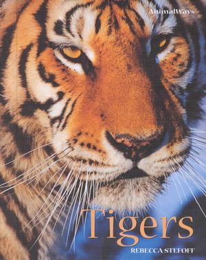 Tigers image number 0
