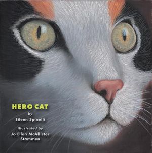 Hero Cat image number 0