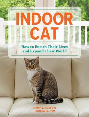 Indoor Cat: How to Enrich Their Lives and Expand Their World image number 0