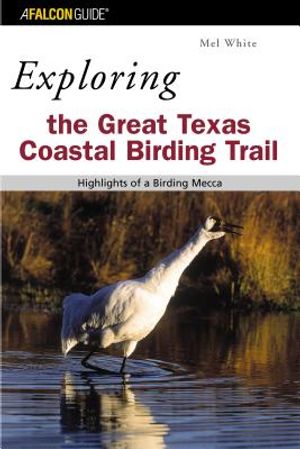 Exploring the Great Texas Coastal Birding Trail: Highlights of a Birding Mecca image number 0