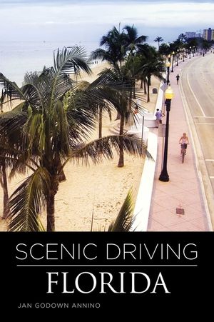Scenic Driving Florida image number 0