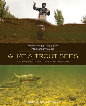 What a Trout Sees: A Fly-Fishing Guide to Life Underwater image number 0