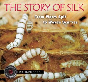 The Story of Silk: From Worm Spit to Woven Scarves image number 0