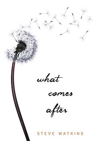 What Comes After image number 0