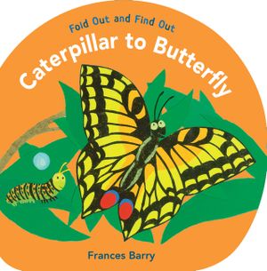 Caterpillar to Butterfly: Fold Out and Find Out image number 0