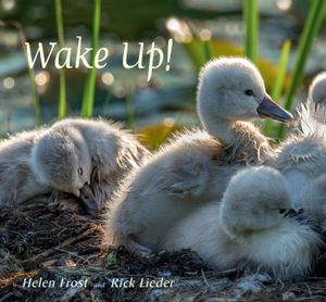 Wake Up! image number 0