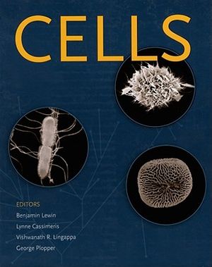 Cells image number 0
