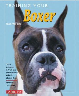 Training Your Boxer image number 0