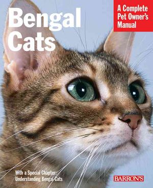 Bengal Cats image number 0