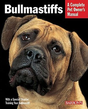 Bullmastiffs image number 0