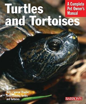 Turtles and Tortoises image number 0
