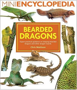 Bearded Dragons image number 0