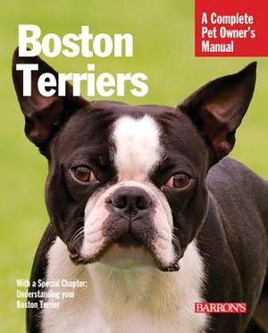 Boston Terriers: Everything about Selection, Care, Nutrition, Behavior, and Training image number 0