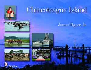 Chincoteague Island image number 0