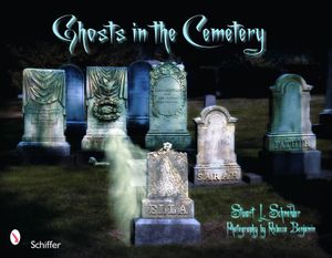 Ghosts in the Cemetery: A Pictorial Study image number 0