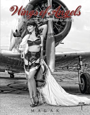 Wings of Angels, Volume 1: A Tribute to the Art of World War II Pinup & Aviation image number 0