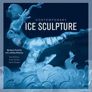 Contemporary Ice Sculpture image number 0