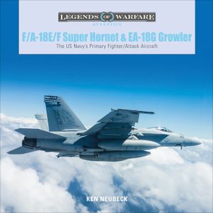 F/A-18E/F Super Hornet and EA-18G Growler: The US Navy's Primary Fighter/Attack Aircraft image number 0