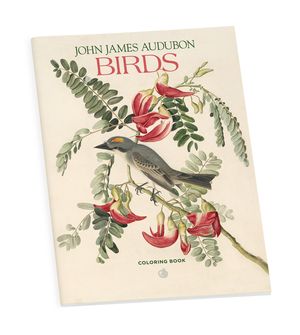 John James Audubon Birds Color image number 0