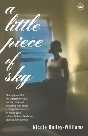 A Little Piece of Sky image number 0