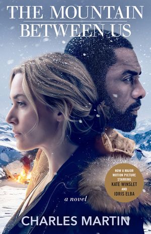 The Mountain Between Us image number 0