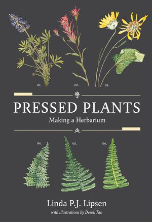 Pressed Plants: Making a Herbarium image number 0