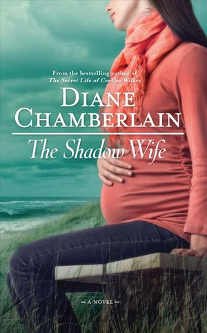 The Shadow Wife image number 0