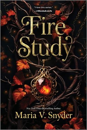 Fire Study image number 0