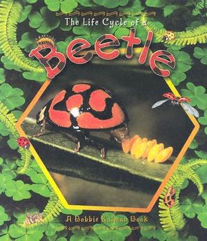 Beetle image number 0