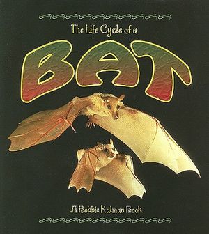 Bat image number 0