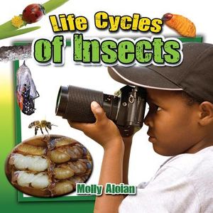 Life Cycles of Insects image number 0