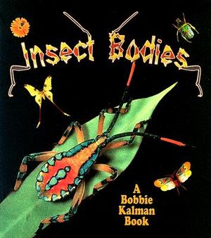 Insect Bodies image number 0