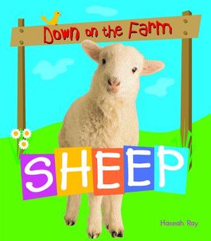 Sheep image number 0
