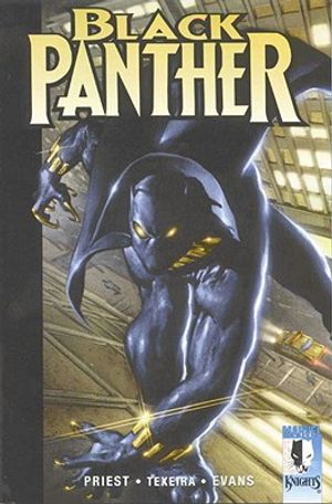 Black Panther: The Client image number 0