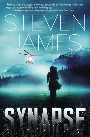 Synapse image number 0