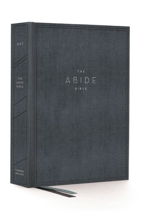 The Net, Abide Bible, Cloth Over Board, Blue, Comfort Print: Holy Bible image number 0