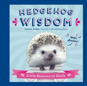 Hedgehog Wisdom: Little Reasons to Smile image number 0